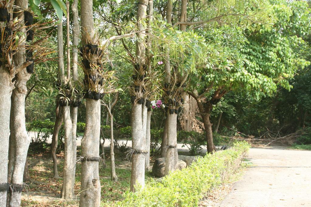 Butterfly B&B Manzhou Dış mekan fotoğraf
