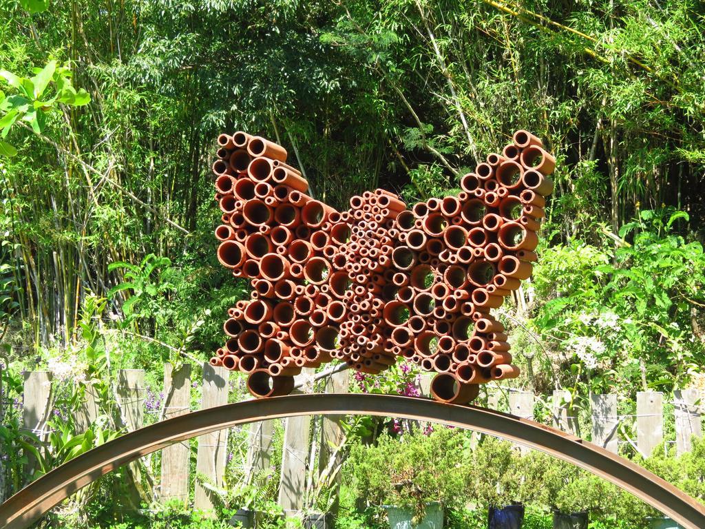 Butterfly B&B Manzhou Dış mekan fotoğraf